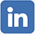 seguici su Linkedin